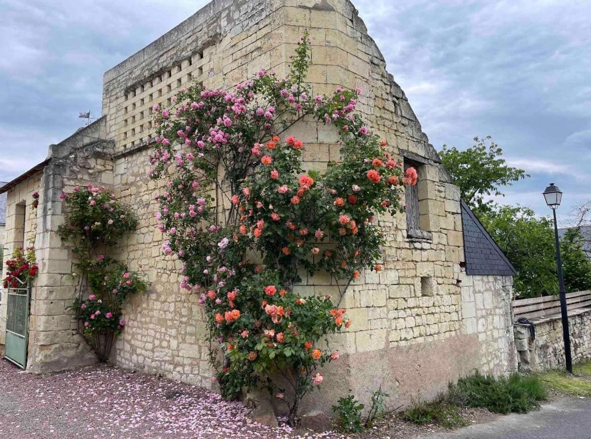 Le Coudray-Macouard Le Colombier 아파트 외부 사진